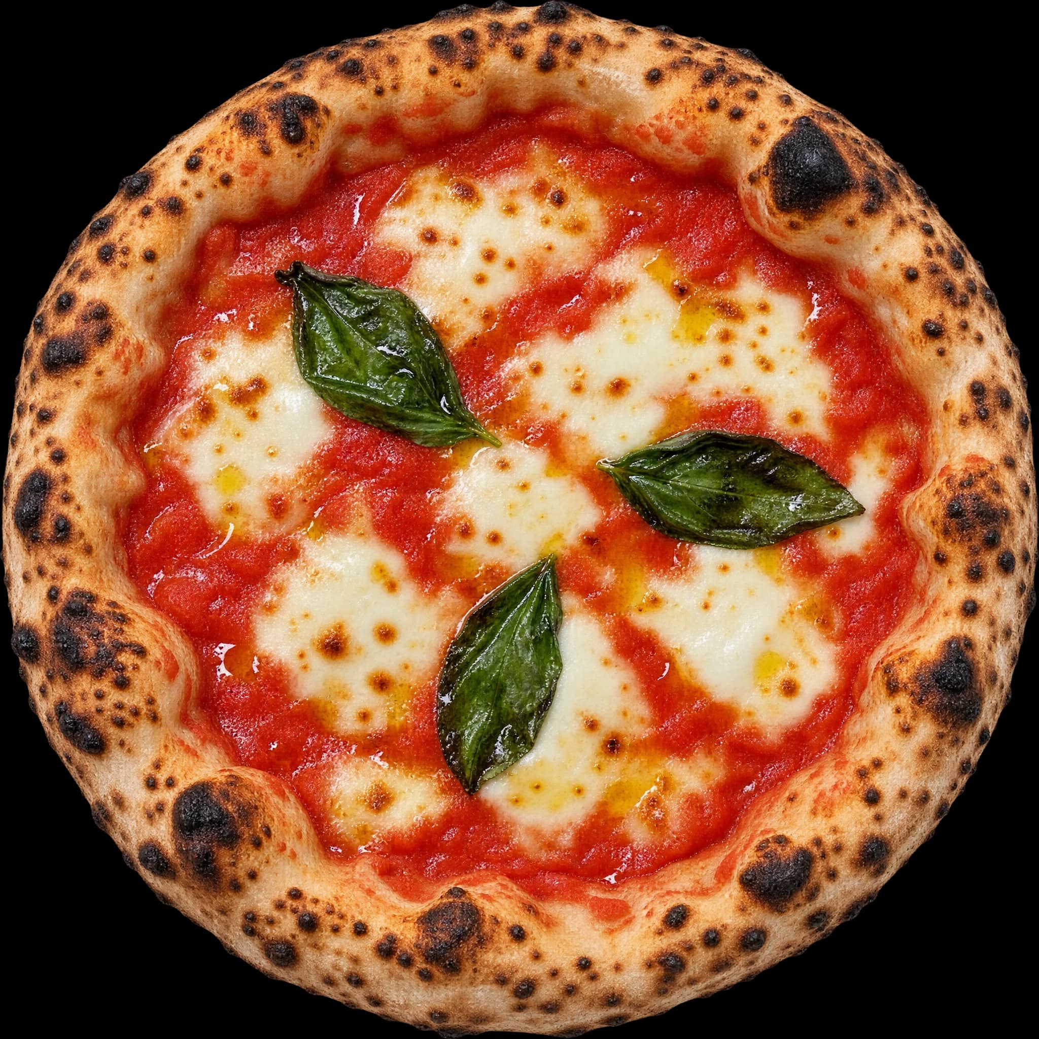 Pizza Margherita von oben – neapolitanischer Teig mit Leopardenflecken